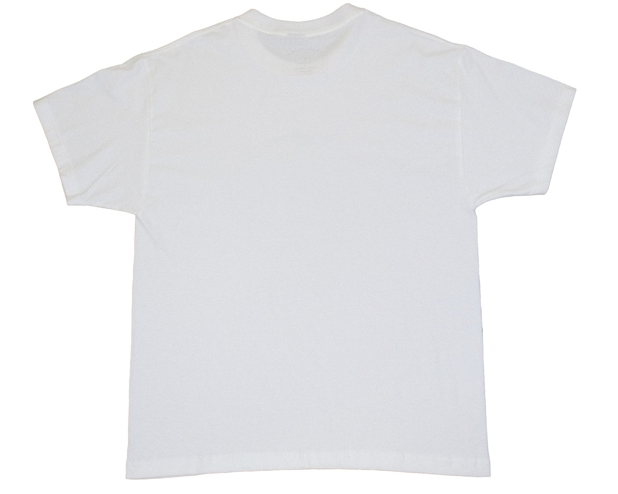 classic logo tee – Backseat USA